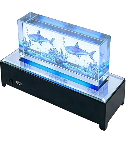 Amazon.com: FZXZX LED Rectangular Light Display Base for Crystals